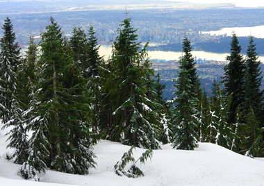 View of vancouver from grouse mountain sbi 326435776